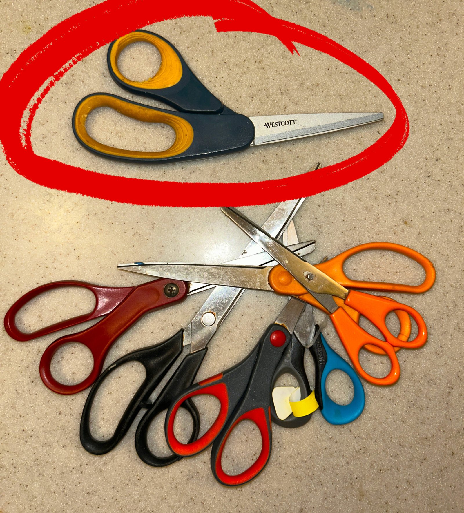 The Quest for the Perfect Scissors: Why Quality Matters